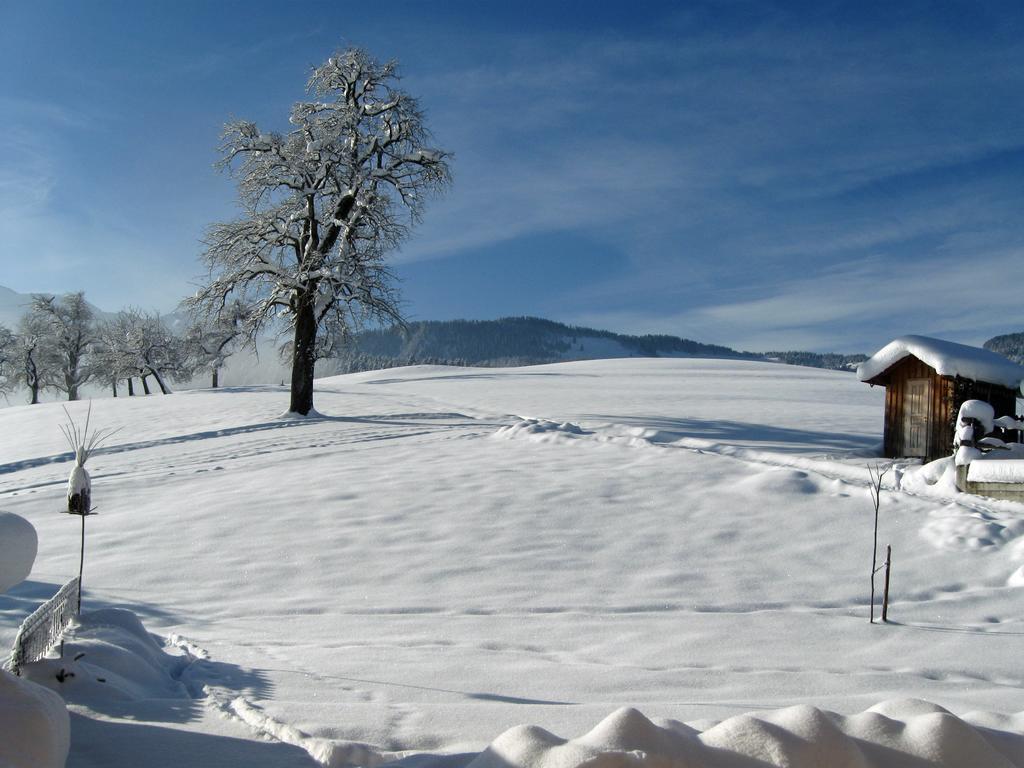 Schweizer Hof * Schwarzenberg im Bregenzerwald
