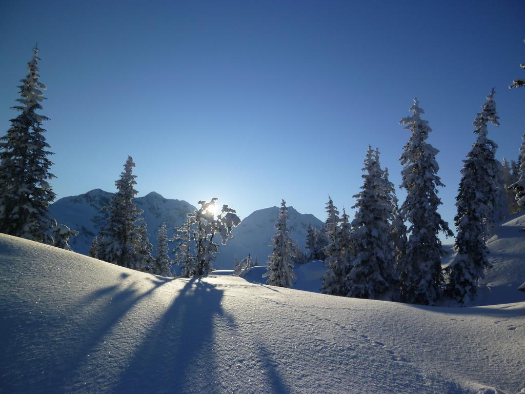 Schweizer Hof